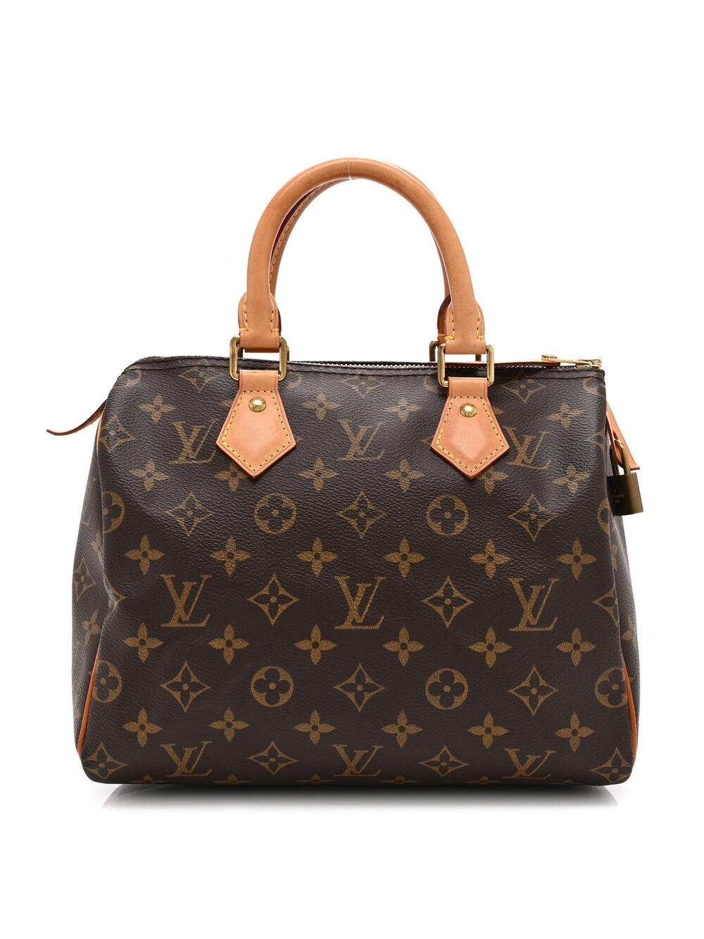 Louis Vuitton Speedy 25 #305149L14B